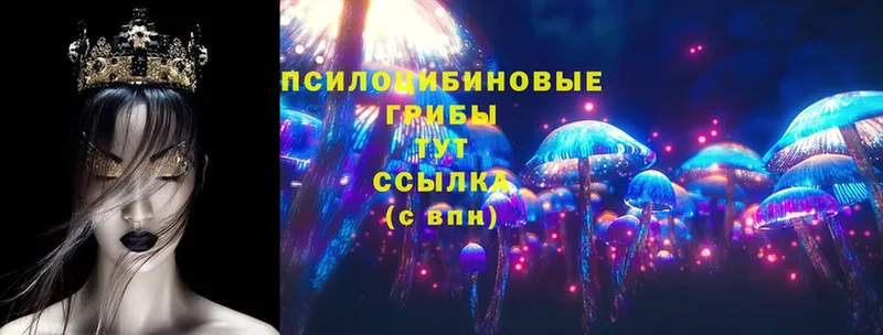 Псилоцибиновые грибы MAGIC MUSHROOMS  Межгорье 